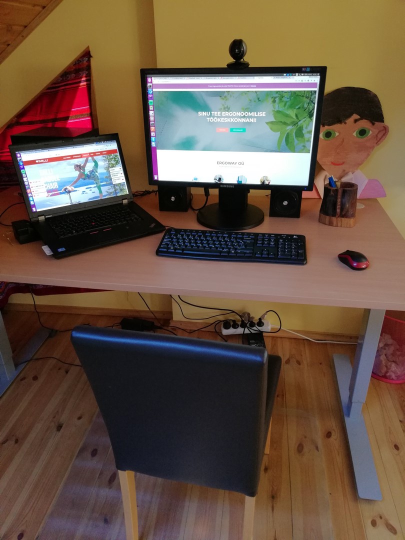 Ergoway ergonoomika salli sadultool ergonoomiline istumine kontor mugav tervislik eurerg triinusirge sadultool swing twin tervis kodukontor