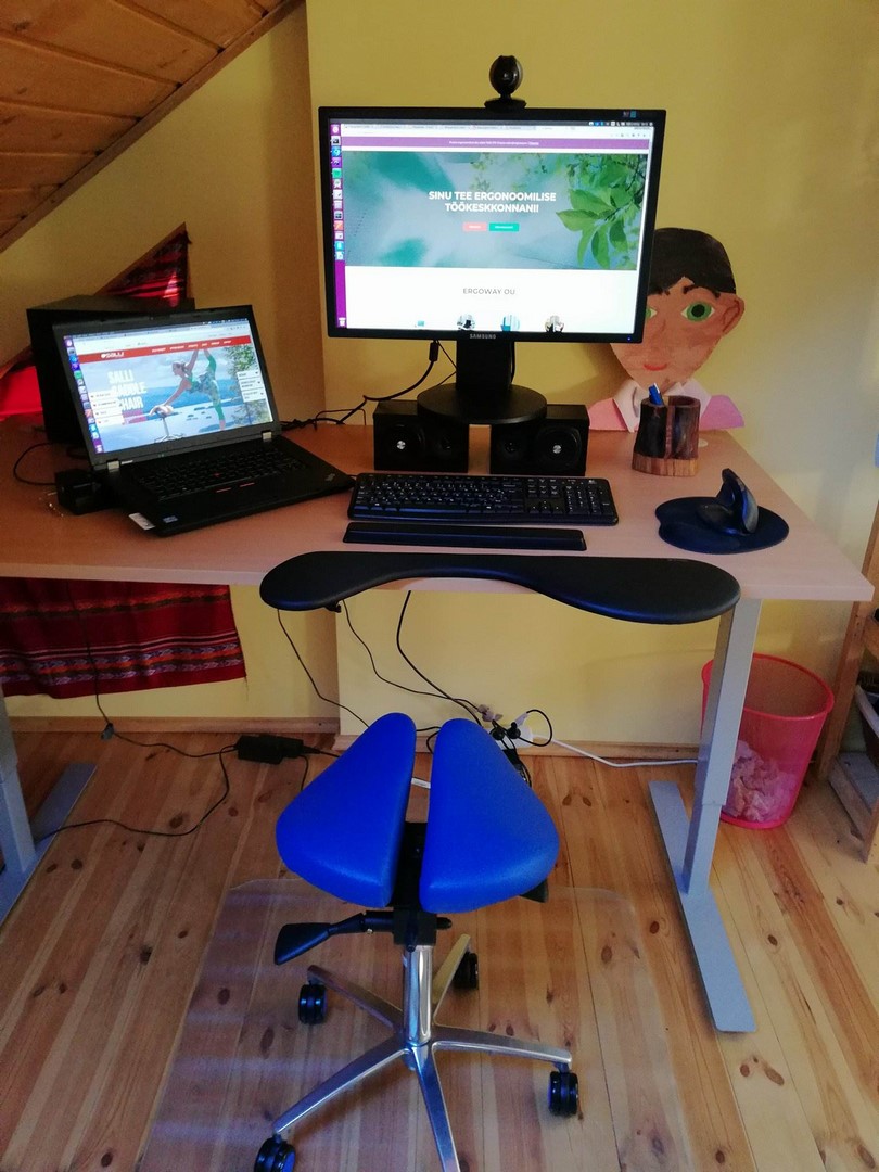 Ergoway ergonoomika salli sadultool ergonoomiline istumine kontor mugav tervislik eurerg triinusirge sadultool swing twin triinu sirge