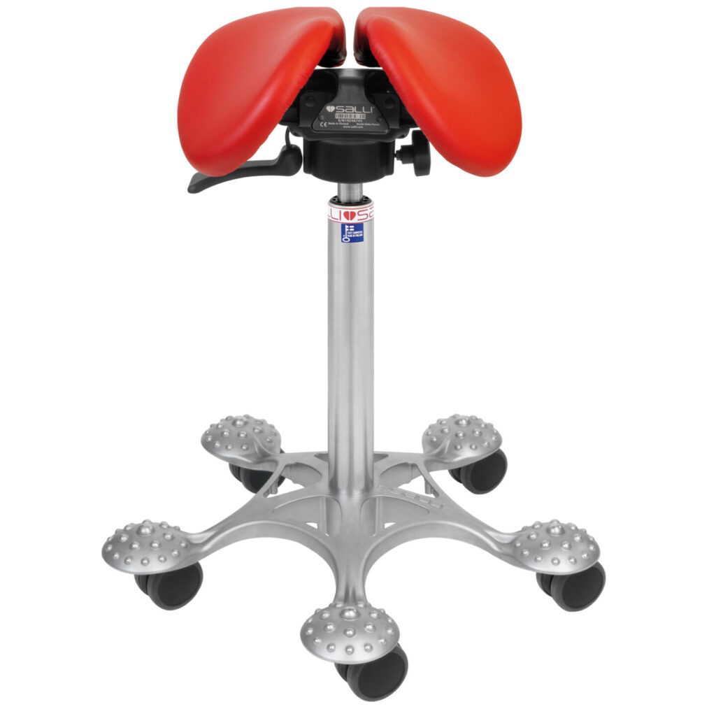 Salli Small SwingFit Ferrari